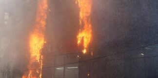 Российский дрон убил собаку в зоомагазине в Одесской области, — ФОТО