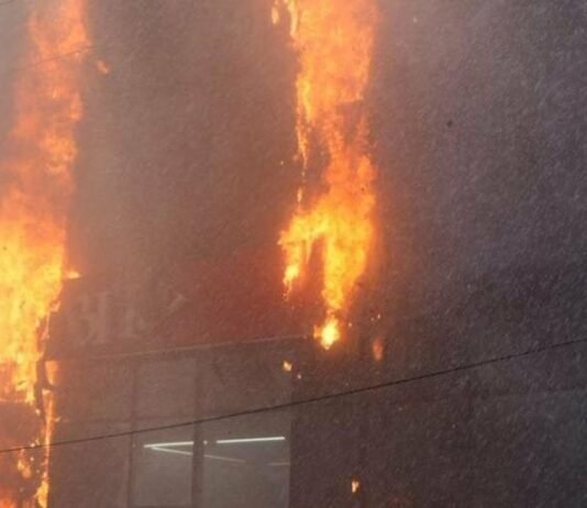 Российский дрон убил собаку в зоомагазине в Одесской области, — ФОТО