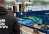 В Одесской области разоблачили морской канал контрабанды: среди изъятого — дрон с тротилом