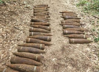 В Берлине в лесу нашли 59 неразорвавшихся советских снарядов времен Второй мировой