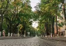 Дух «маленького Парижа» в Одессе: как появился богемный Французский бульвар
