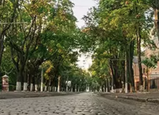 Дух «маленького Парижа» в Одессе: как появился богемный Французский бульвар