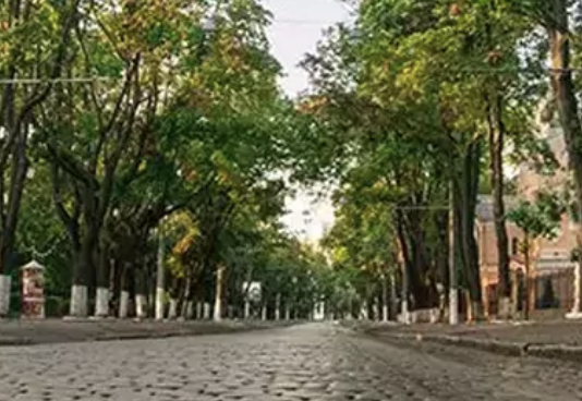 Дух «маленького Парижа» в Одессе: как появился богемный Французский бульвар