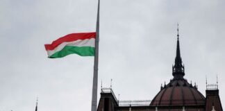 Венгрия открыла рынок для украинского зерна и мяса