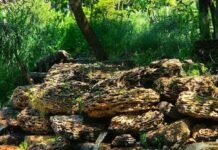 Одесситы массово едут в парк Победы ради этой фотолокации: как появился знаменитый грот, — ФОТО