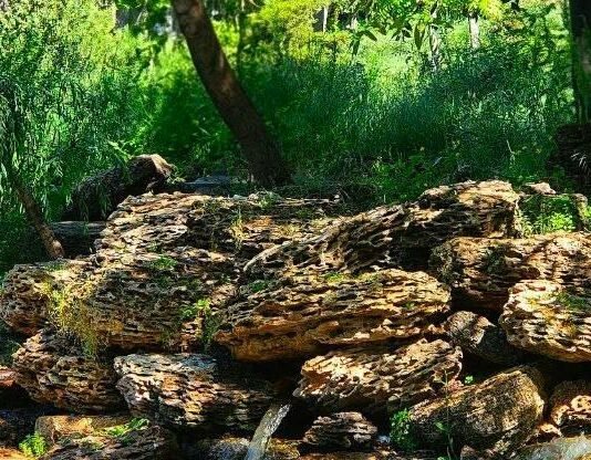 Одесситы массово едут в парк Победы ради этой фотолокации: как появился знаменитый грот, — ФОТО