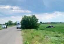 В Одесской области перевернулся BMW: пострадали два человека