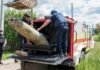 Упала на огород: в Харьковской области обезвредили 500-килограммовую российскую авиабомбу (фото)