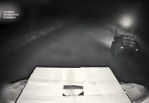 Наземные роботы ГУР из пулемета уничтожают вражеских "ждунов" FPV — разведчики показали эксклюзивные кадры
