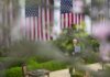 Трамп заявил о свободном выходе судов из Ормузского пролива после заявления Вэнса о подписании соглашения с Ираном