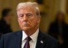 Трамп рассматривает введение санкций против рф на фоне падения цен на нефть