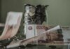 В рф массово возвращаются к наличным из-за кризиса доверия к банкам — разведка