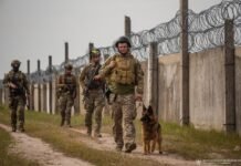Украина укрепляет северную границу в связи с возможным втягиванием Беларуси в войну, — The Guardian