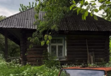 Украинец нашел в глухой деревне дома, которым более 200 лет — что он там увидел (фото)