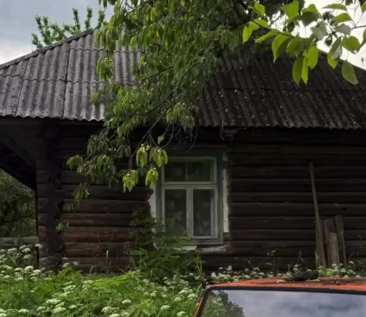 Украинец нашел в глухой деревне дома, которым более 200 лет — что он там увидел (фото)