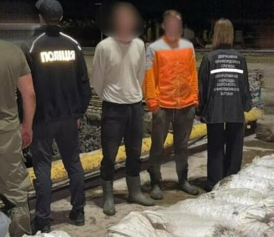 В Одесской области задержали браконьеров с 62 тысячами мидий