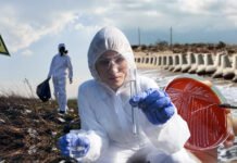 Зараженные туши на оккупированной Херсонщине: врачи объяснили, грозит ли Украине эпидемия сибирской язвы