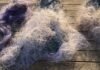 Сети смерти на Днестровском лимане: в Одесской области спасли почти сотню молодых рыб, — ФОТО
