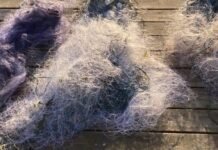 Сети смерти на Днестровском лимане: в Одесской области спасли почти сотню молодых рыб, — ФОТО