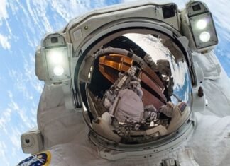 Могут ли люди родить в космосе: вопросов больше, чем ответов