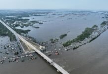 Подрыв Каховской ГЭС: как за три года изменилась экосистема и восстановят ли Великий Луг, — СМИ