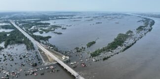 Подрыв Каховской ГЭС: как за три года изменилась экосистема и восстановят ли Великий Луг, — СМИ