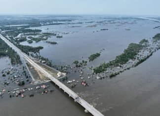 Подрыв Каховской ГЭС: как за три года изменилась экосистема и восстановят ли Великий Луг, — СМИ