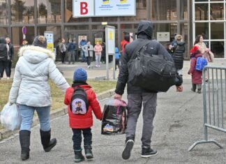 В Дании хотят аннулировать виды на жительство части украинских мужчин, — законопроект