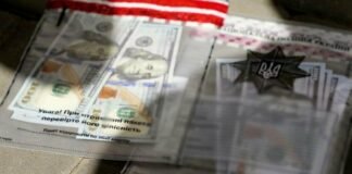 В Одесской области задержали «проводника» за 5 тысяч долларов, который обещал вывезти мужчину за границу через Одессу, — ФОТО, ВИДЕО