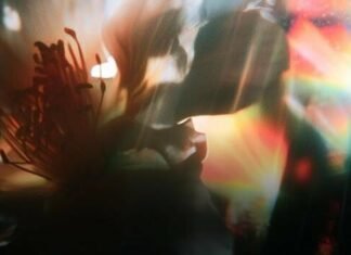 Одесситы могут выбрать марку ко Дню Независимости в «Действии»: как проголосовать