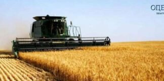 На Одесщине стартовала жатва: аграрии уже собирают первый урожай