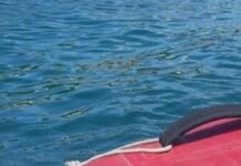 На двух пляжах Одессы спасатели вытащили на берег 5 человек, заплывших за волнорезы — ФОТО