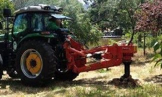 В Одессе убрали 353 пни и готовят масштабное озеленение