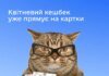 В Украине начинают выплаты "Национального кешбэка", их получат более 5 миллионов человек