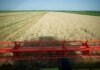 В Украине аграрии во всех областях начали жатву