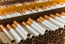 Доля контрабандных сигарет на нелегальном рынке Украины сократилась вдвое — таможня