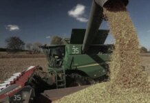 На кубани официально признали дефицит топлива в разгар уборки урожая — власти рф просят увеличить поставки дизеля