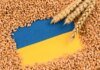 Зеленский анонсировал обновление плана защиты зернового экспорта