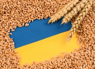 Зеленский анонсировал обновление плана защиты зернового экспорта