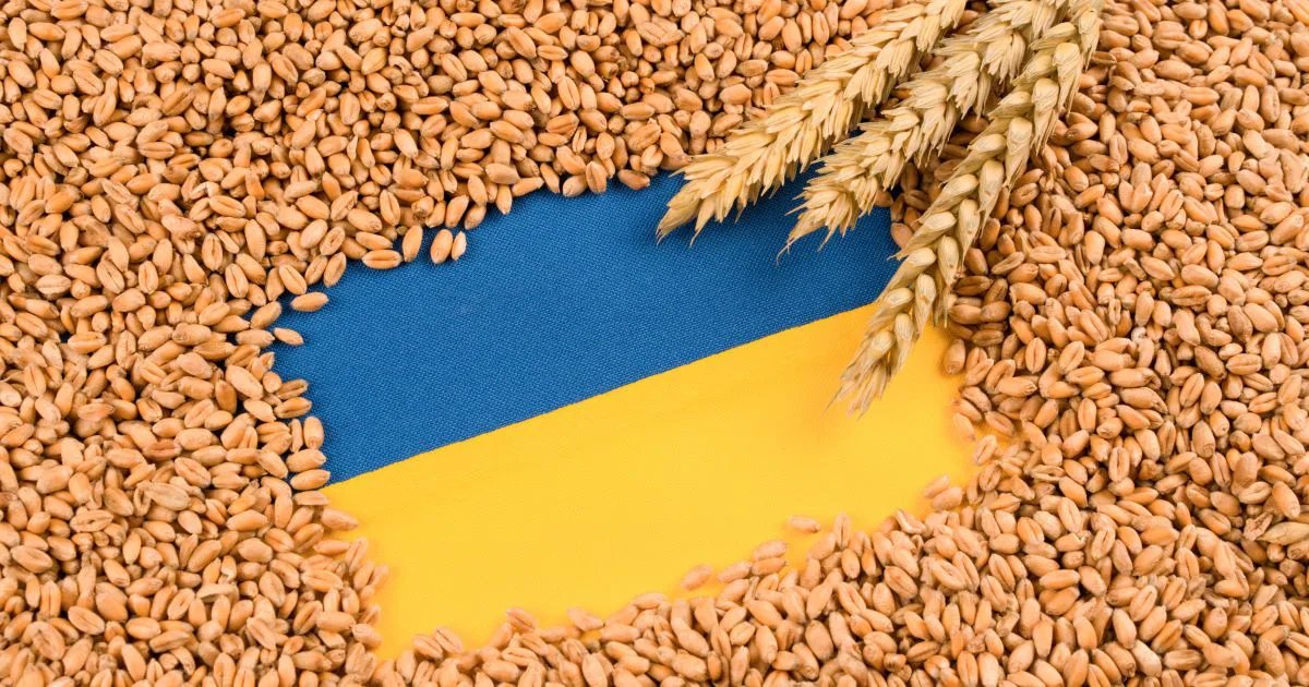 Зеленский анонсировал обновление плана защиты зернового экспорта