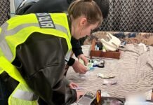 PVP, метадон и «магические» грибы: в Одессе в суд передали дело наркодилеру