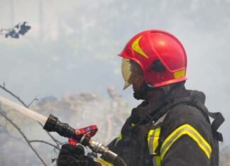 Почти 60 пожаров в сутки: в Одесской области выгорело 29 гектаров сухостоя