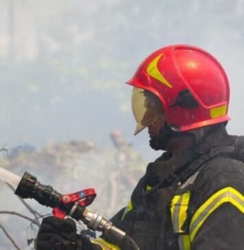 Почти 60 пожаров в сутки: в Одесской области выгорело 29 гектаров сухостоя