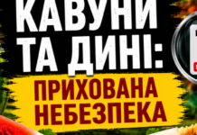 Сезон арбузов в Одесской области: как выбрать безопасный арбуз и не отравиться