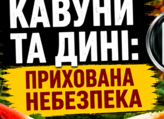 Сезон арбузов в Одесской области: как выбрать безопасный арбуз и не отравиться