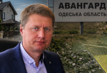 Дома, гектары земли и влиятельные знакомства: что журналисты нашли у главы Авангарда в Одесской области