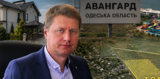 Дома, гектары земли и влиятельные знакомства: что журналисты нашли у главы Авангарда в Одесской области