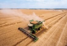 Одесщина первой в Украине собрала более 1,5 миллионов тонн зерна нового урожая