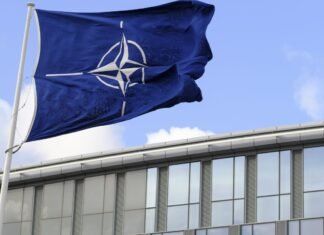 Украина призывает НАТО впервые признать ее новую роль в блоке