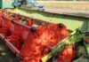 Чужой ячмень исчез прямо с поля: в Одесской области вспыхнул громкий агроскандал